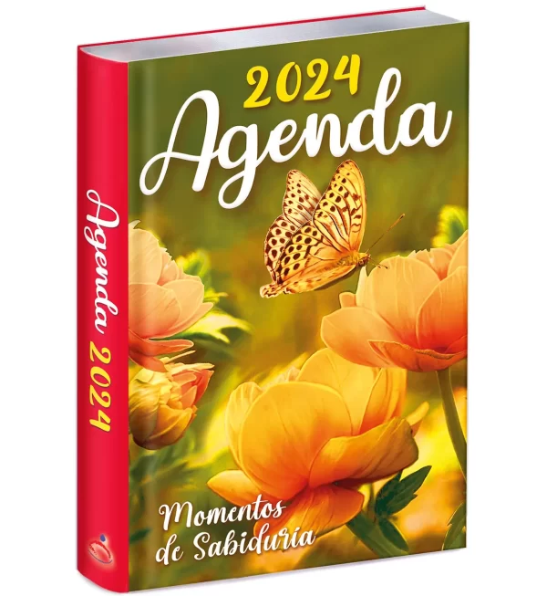 Agenda 2024 | Momentos de sabiduría