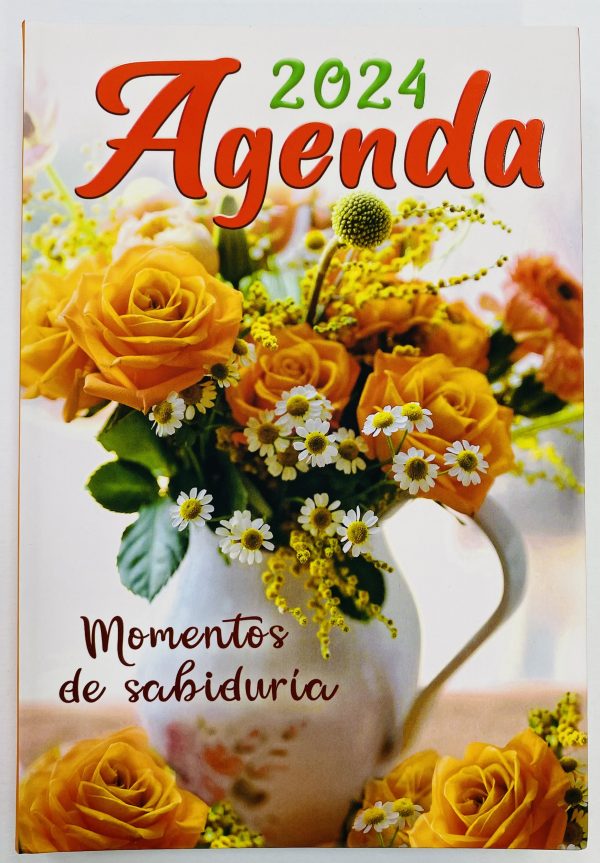 Agenda 2024 | Momentos de sabiduría